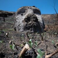 UNESCO lanza guía para proteger el patrimonio natural y cultural ante los incendios - Noticias de hoy en República Dominicana | De Último Minuto