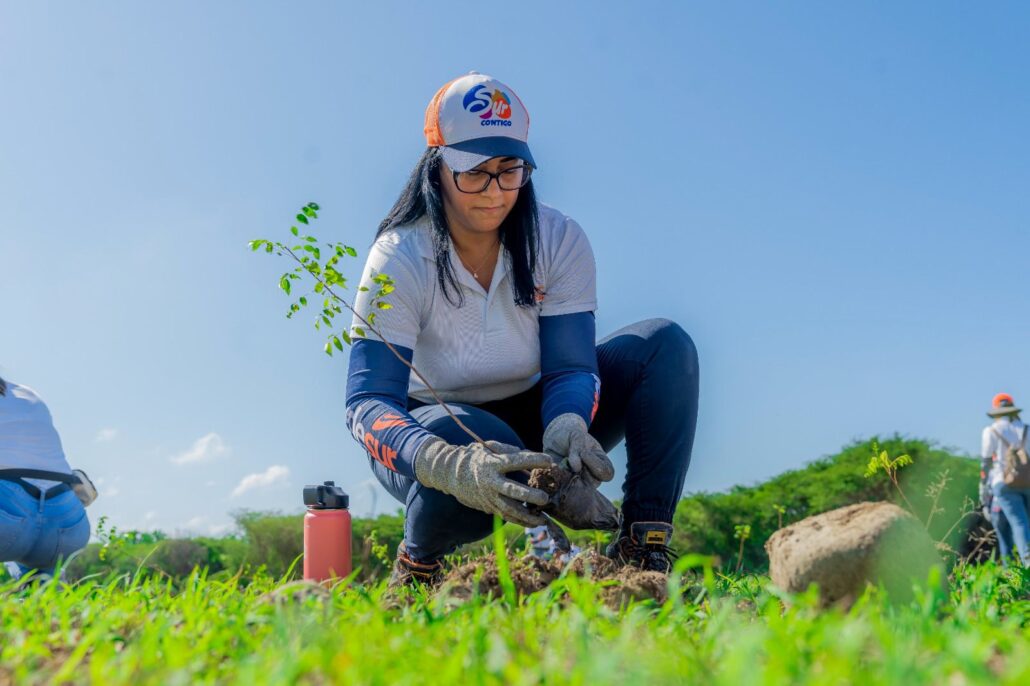 Edesur siembra 2,000 plantas en jornada de reforestación en San Cristóbal