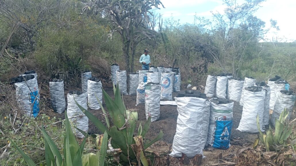 Medio Ambiente y SENPA incautan 215 sacos de carbón vegetal en Tabara Abajo