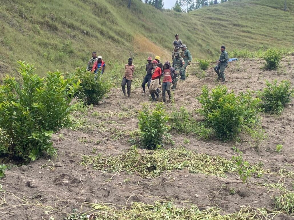 Detienen a 13 nacionales haitianos por afectar zonas de la Presa Sabaneta