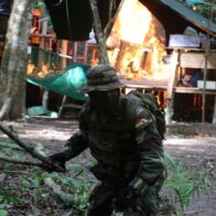 Fuerza antidrogas de Bolivia destruye un "megalaboratorio" de cristalización de cocaína - Noticias de hoy en República Dominicana | De Último Minuto