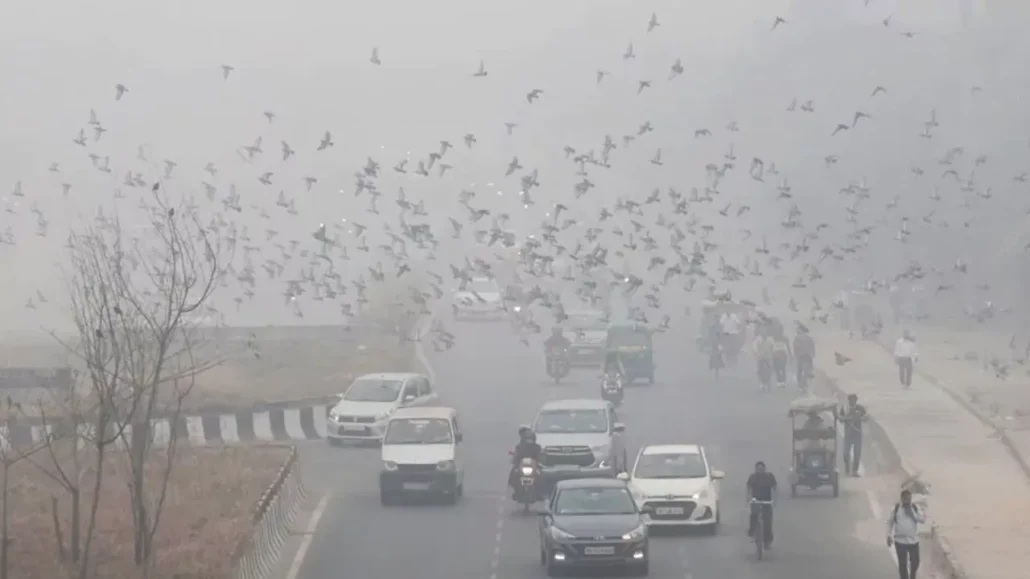 Contaminación del aire en Nueva Delhi alcanza el máximo nivel de riesgo por segundo día