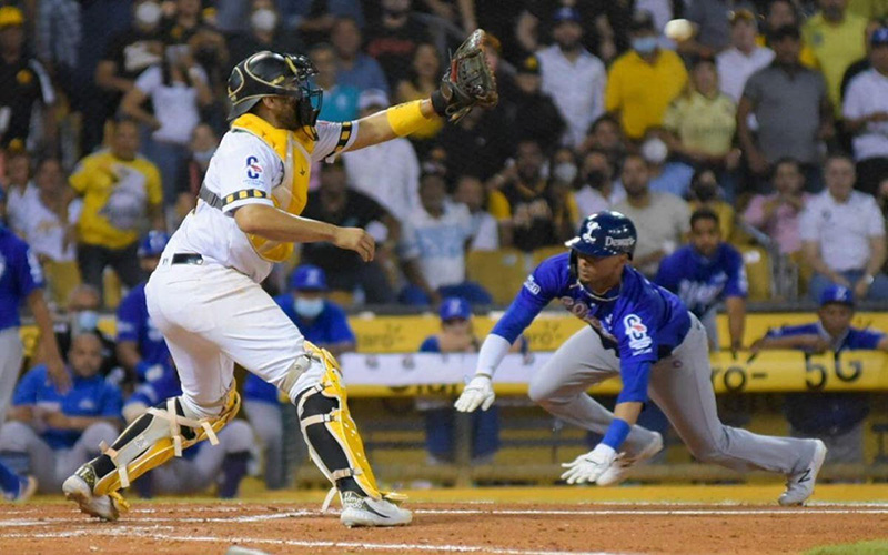 Licey enfrenta posible demanda en EE.UU. si no asiste a la serie en Puerto Rico