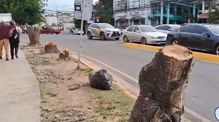 Protestan contra tala de árboles para construir empresa de capital chino en Santiago