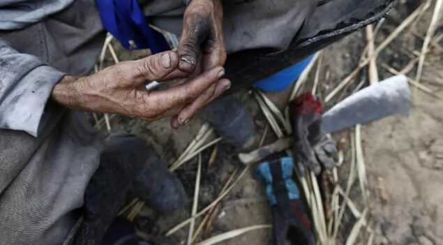 Rescatan en Brasil a 2.004 trabajadores en condiciones análogas a la esclavitud en 2024