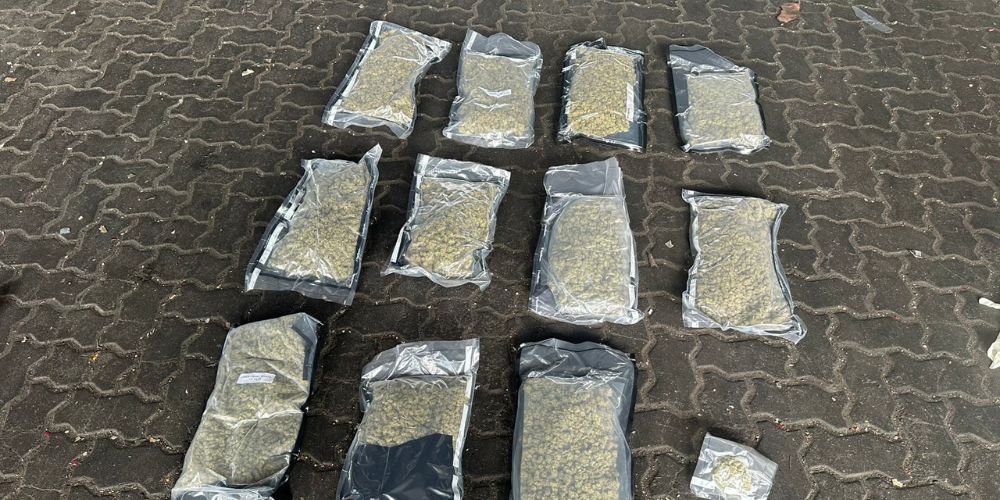 DNCD ocupa más marihuana en puerto Haina camuflada en tanque de comida