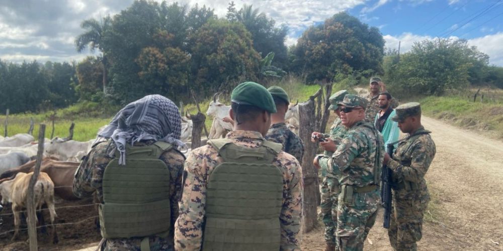 Ejército recupera ganado y decomisa cigarrillos de contrabando durante operativos en Dajabón y Elías Piña