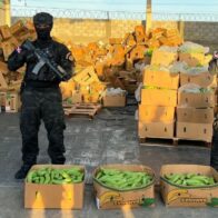 DNCD incauta 303 guineos hechos en cerámica llenos de cocaína en Puerto Manzanillo