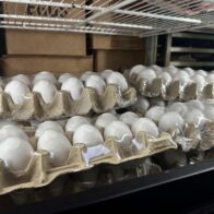 Huevos.