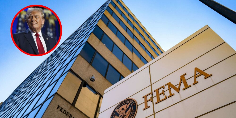 Trump despide a 4 empleados de una agencia pública por pagar 