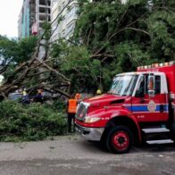 Bomberos DN trabajan para retirar árbol caído en calle El Retiro