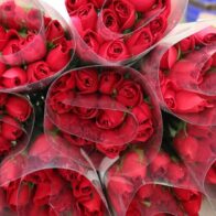 Guatemala exportará ocho millones de rosas