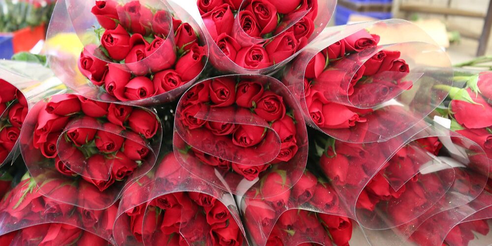 Guatemala exportará ocho millones de rosas