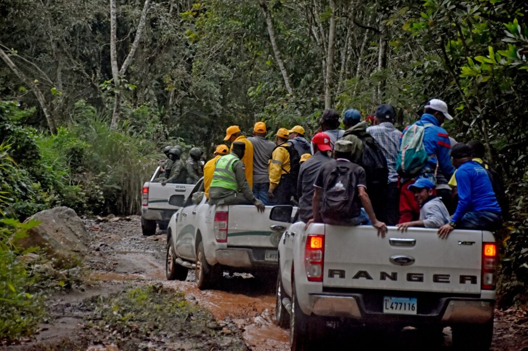 SENPA, Medio Ambiente y MIDE plantan 5,000 árboles de pino para recuperación de Sonadorcito en Monseñor Nouel