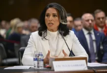 Senado confirma a Tulsi Gabbard como directora de inteligencia de EEUU