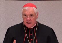 Cardenal Muller dice no es momento de pensar en un sucesor con el papa ingresado