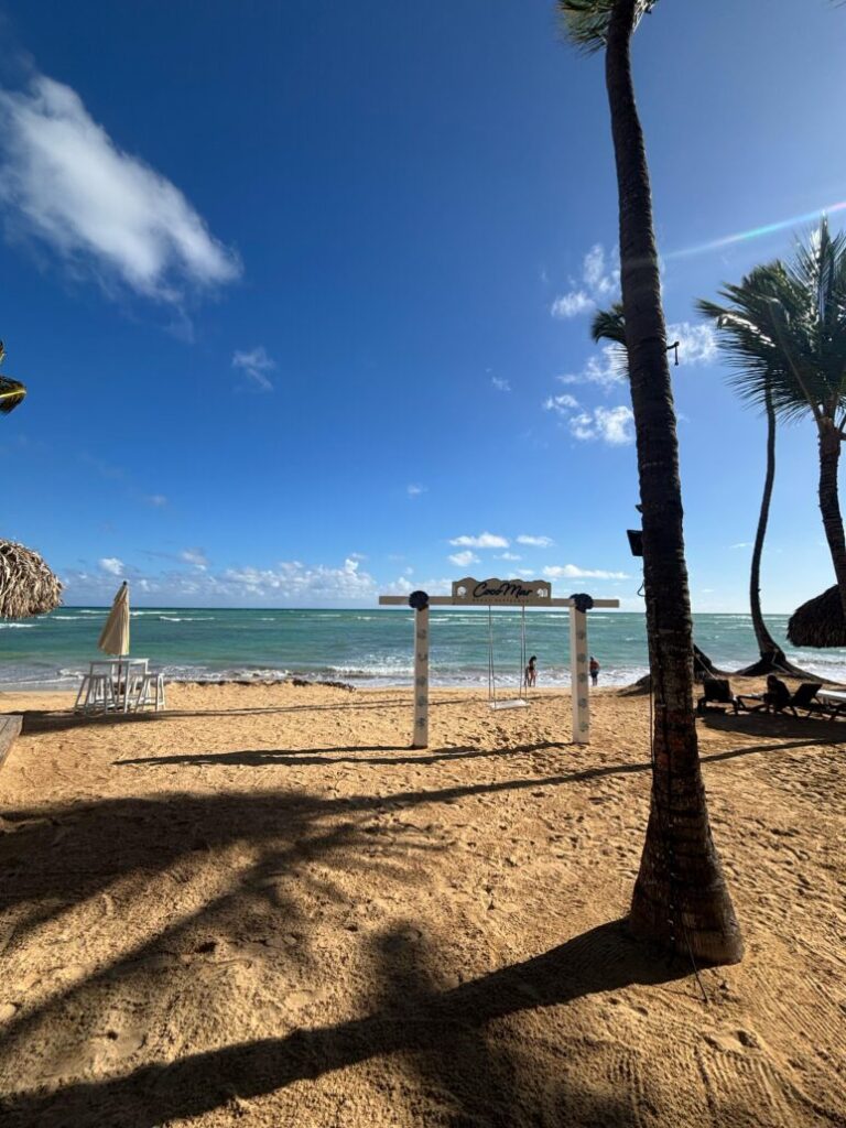 Playa Palmera: Un refugio de lujo, privacidad y calidez junto al mar | De Último Minuto