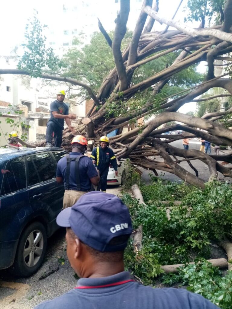 Bomberos DN trabajan para retirar árbol caído en calle El Retiro | De Último Minuto