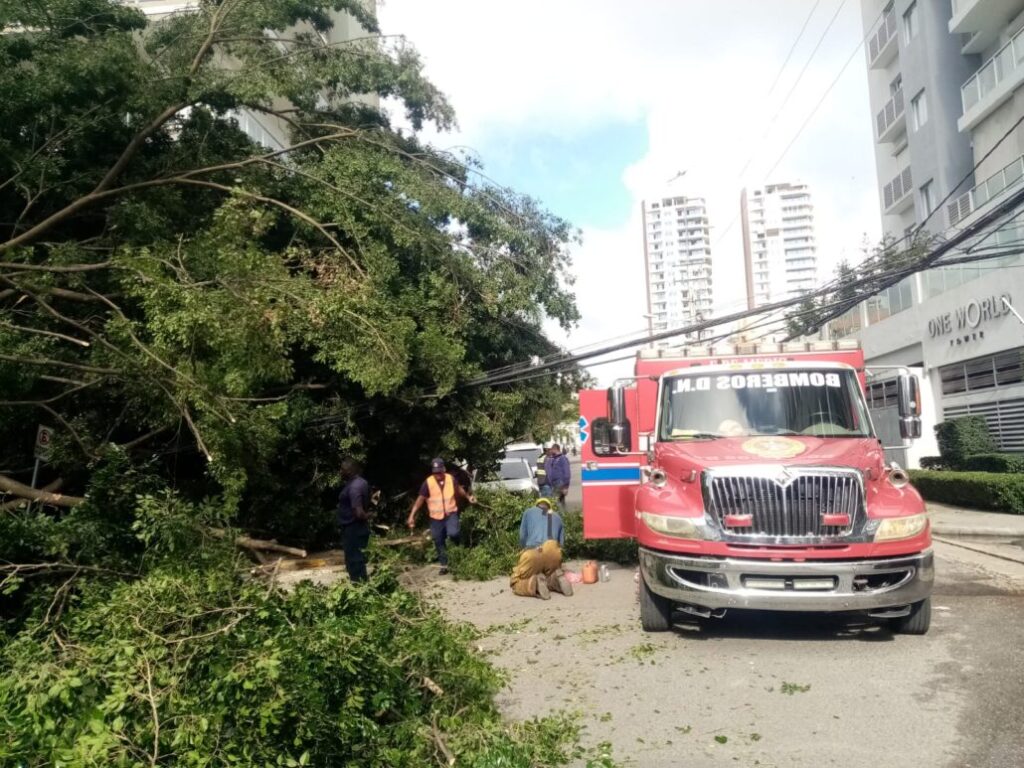 Bomberos DN trabajan para retirar árbol caído en calle El Retiro | De Último Minuto