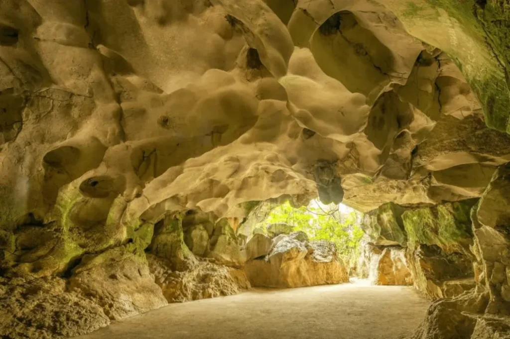 Las Cuevas del Pomier en peligro: minería amenaza su legado histórico y ambiental