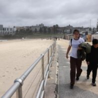 Una mujer en estado crítico tras ser atacada por un tiburón en Australia