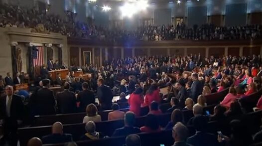 Congresistas demócratas visten de rosa en el discurso de Trump para protestar contra él