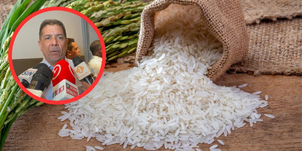 Ministro de Agricultura asegura precios de arroz permanecen normalizados