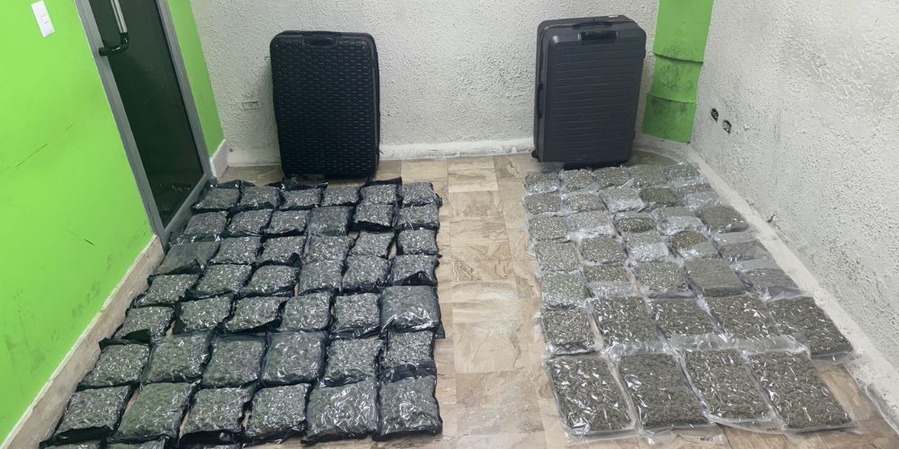 DNCD incauta dos maletas con 79 paquetes de marihuana en aeropuerto de Punta Cana