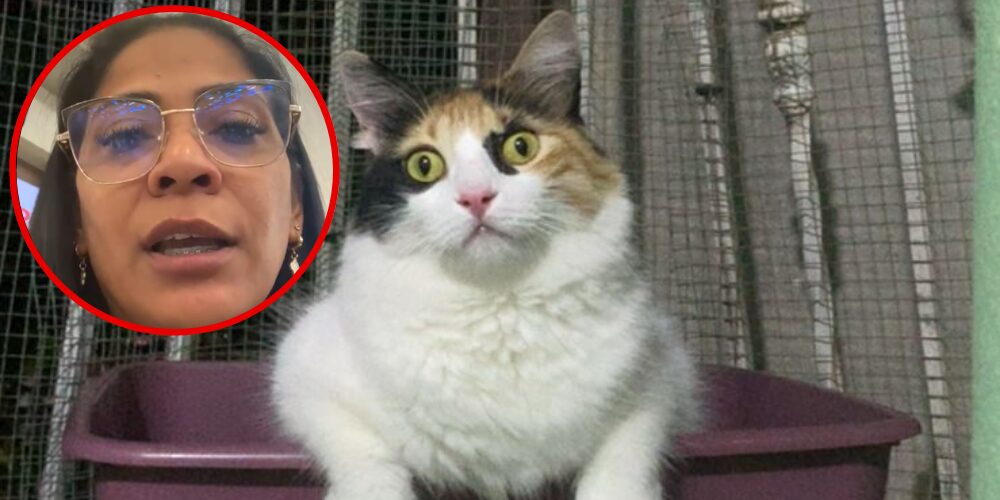 Venezolana varada en el AILA porque aerolínea le impide abordar