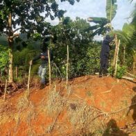 Senpa y otras instituciones realizan operativo en Refugio de Vida Silvestre Bahía de Luperón - Noticias de hoy en República Dominicana | De Último Minuto