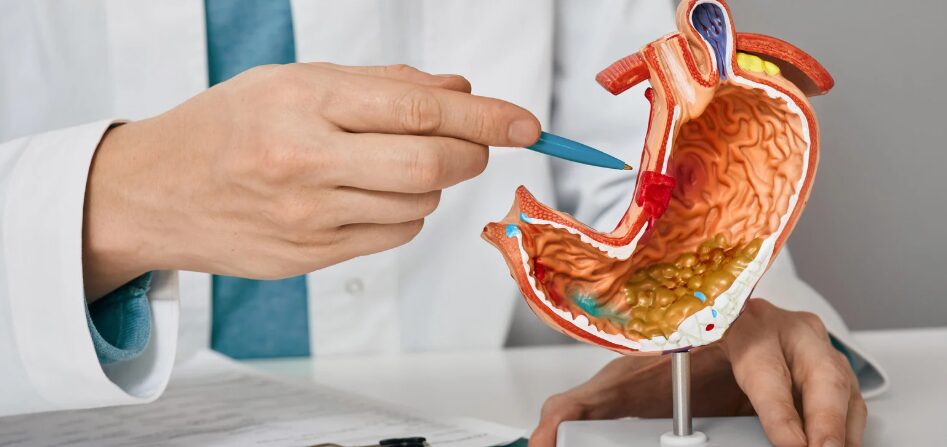 El cerebro puede controlar el apetito, demuestran científicos españoles y belgas