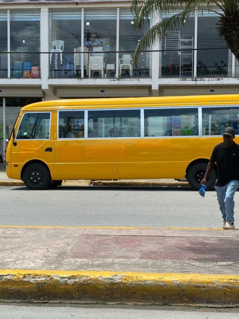 Aclaran uso de vehículos pintados de amarillo en Samaná: no pertenecen al Ministerio de Educación - Noticias de hoy en República Dominicana | De Último Minuto