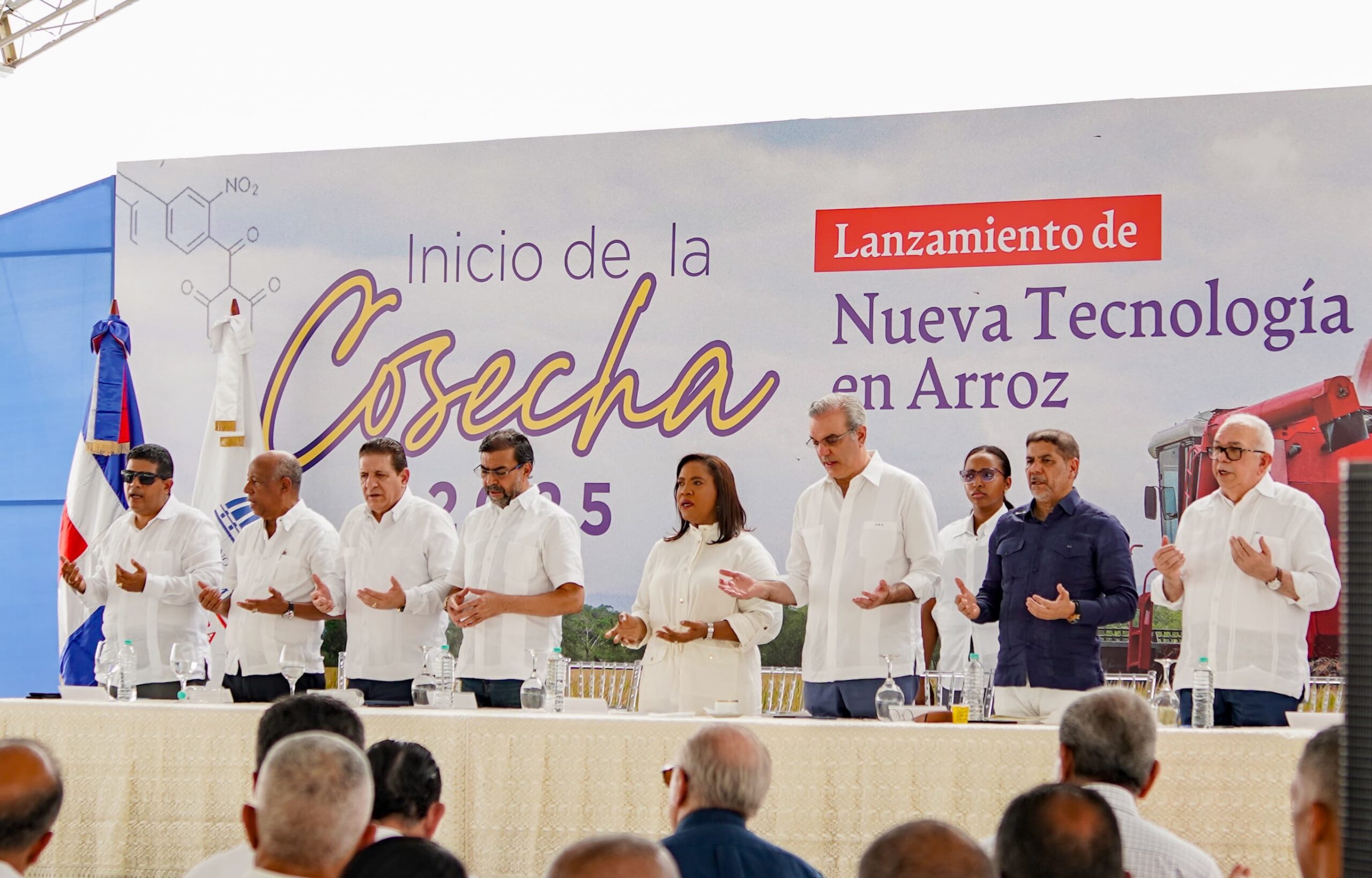 Cosecha de Arroz 2025 marca récord histórico bajo liderazgo de Abinader y Limber Cruz - Noticias de hoy en República Dominicana | De Último Minuto