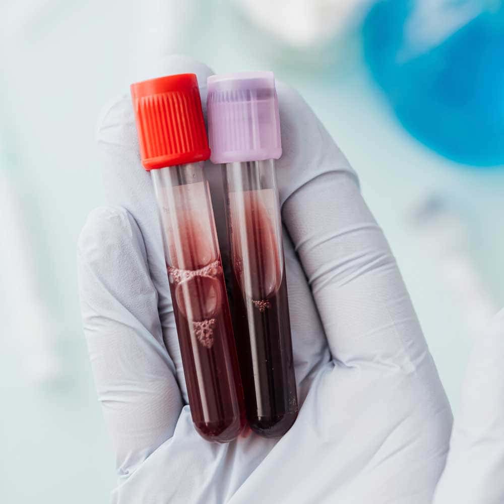 Solicitan donantes de sangre para magistrada María del Carmen Silvestre