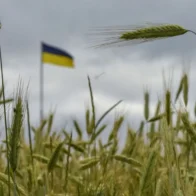 Agricultores españoles piden al Gobierno limitar la importación de cereal de Ucrania