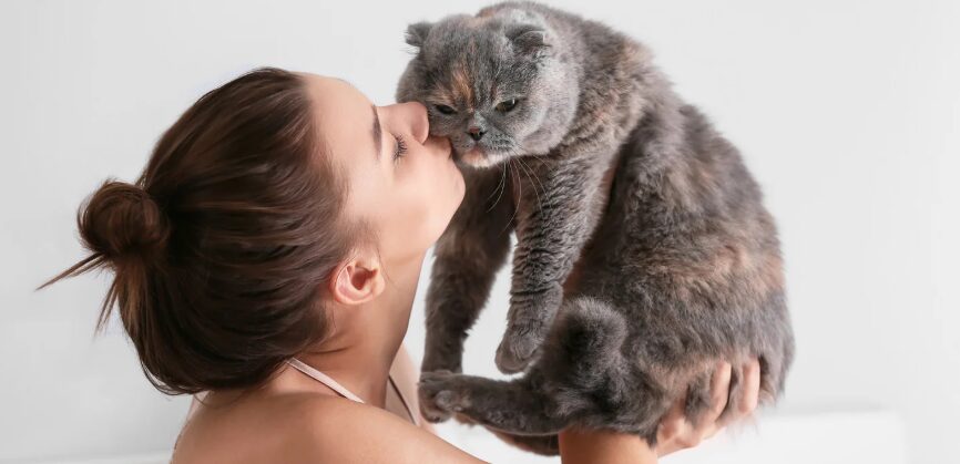 Los gatos son capaces de distinguir a su dueño usando solo el olfato