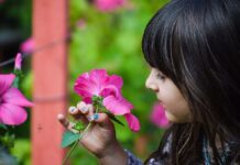 Día Internacional de la Fascinación por las Plantas