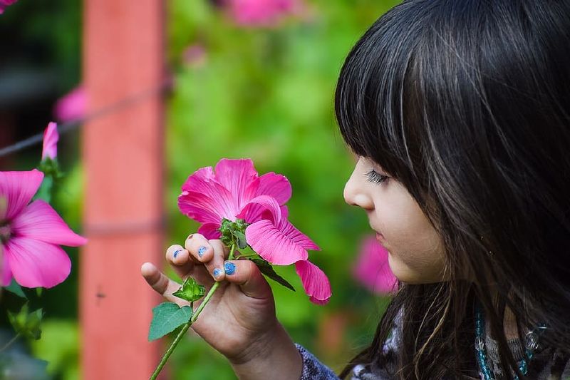 Día Internacional de la Fascinación por las Plantas
