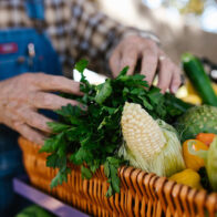 Día Mundial del Horticultor