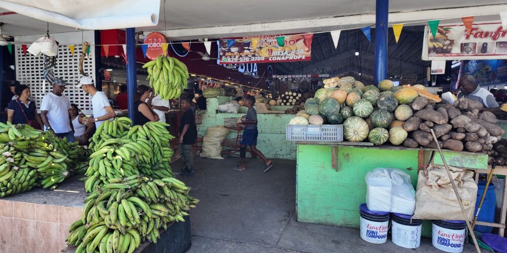 Productos de la canasta básica se mantienen estables