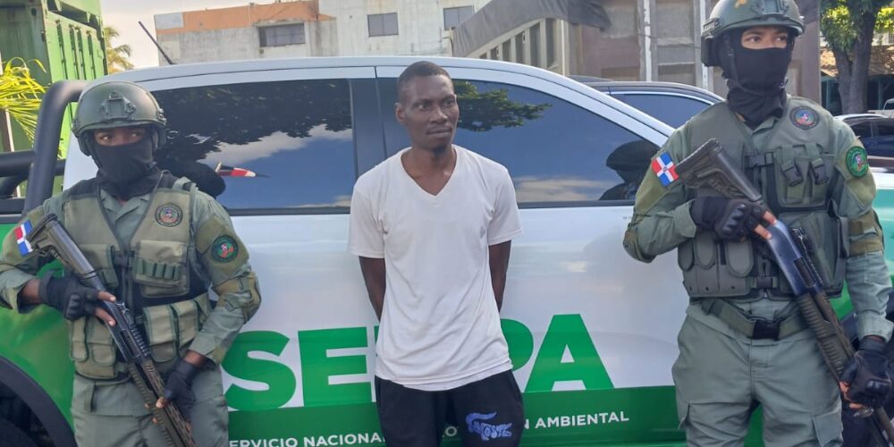 SENPA detiene haitiano que mató tiburón en playa Guayacanes