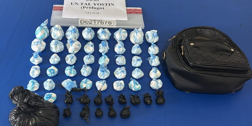 DNCD ocupa 597,130 gramos de drogas y arrestan a 2,950 personas