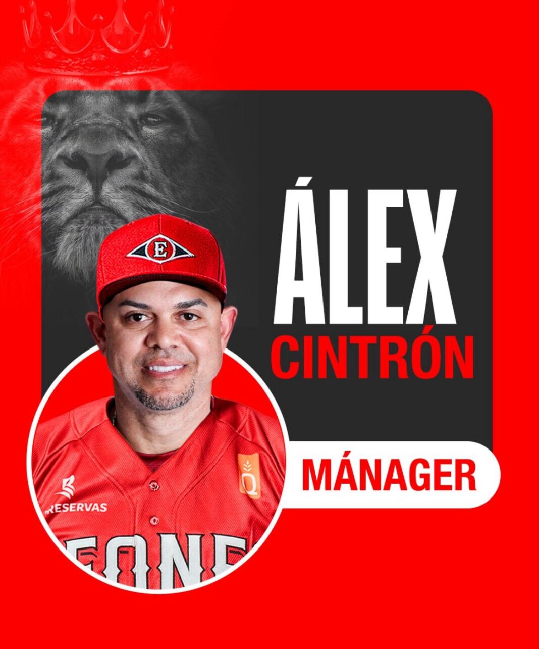 Leones del Escogido anuncian a Alex Cintrón como dirigente y presentan sólido cuerpo técnico para la temporada 2025-2026