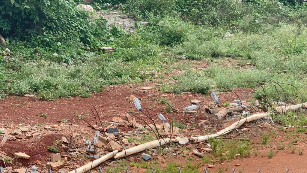 Comunidad de Las Galeras exige intervención del play municipal | 4 | Comunidad de Las Galeras exige intervención del play municipal - Noticias de hoy en República Dominicana | De Último Minuto