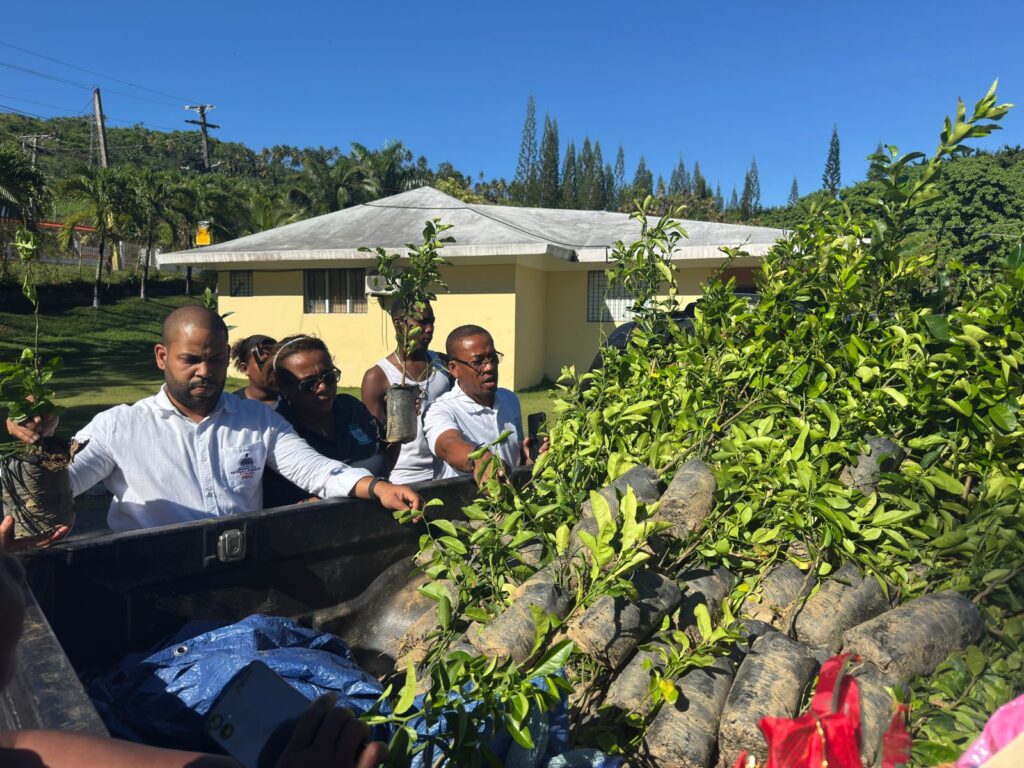 FEDA lanza programa "Siembra tu Patio en Familia" en Arroyo Barril | 3 | FEDA lanza programa "Siembra tu Patio en Familia" en Arroyo Barril - Noticias de hoy en República Dominicana | De Último Minuto