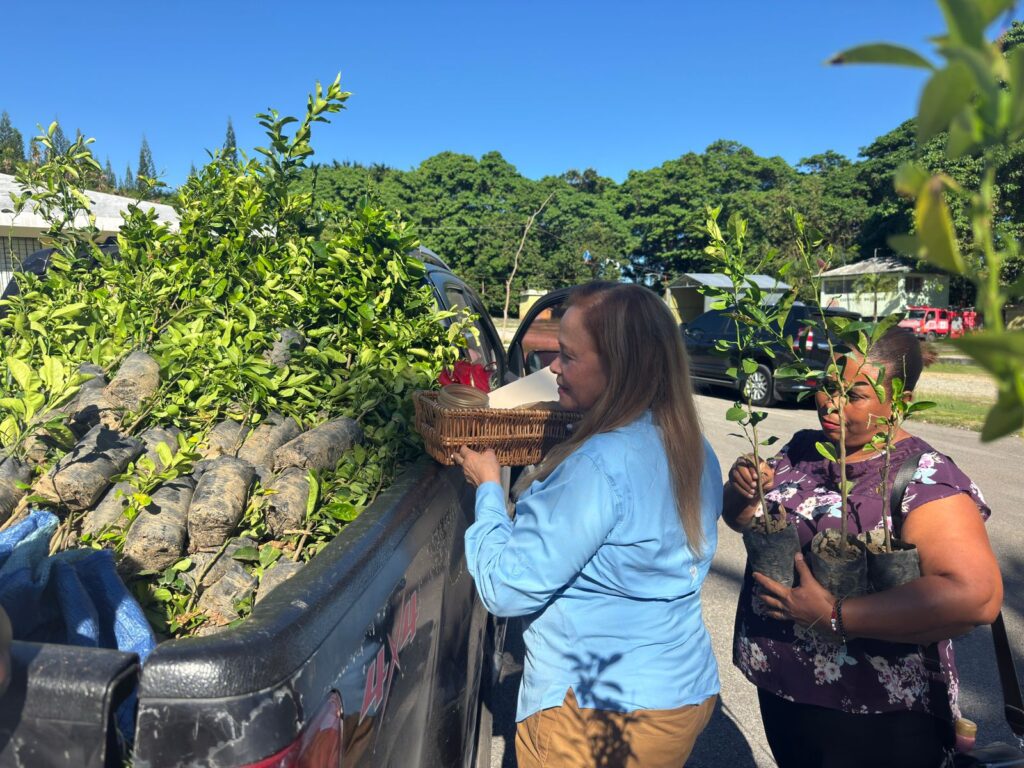 FEDA lanza programa "Siembra tu Patio en Familia" en Arroyo Barril | 2 | FEDA lanza programa "Siembra tu Patio en Familia" en Arroyo Barril - Noticias de hoy en República Dominicana | De Último Minuto