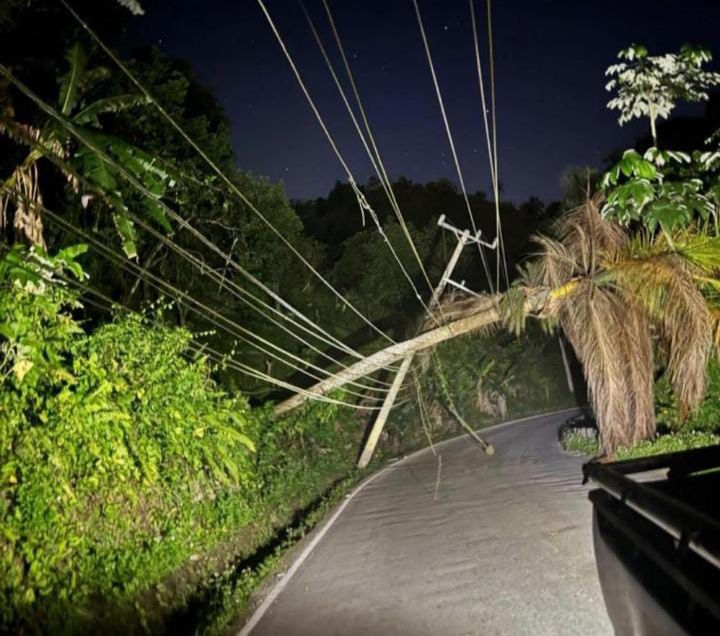 Las Terrenas sin energía eléctrica por caída de palma sobre tendido eléctrico | De Último Minuto