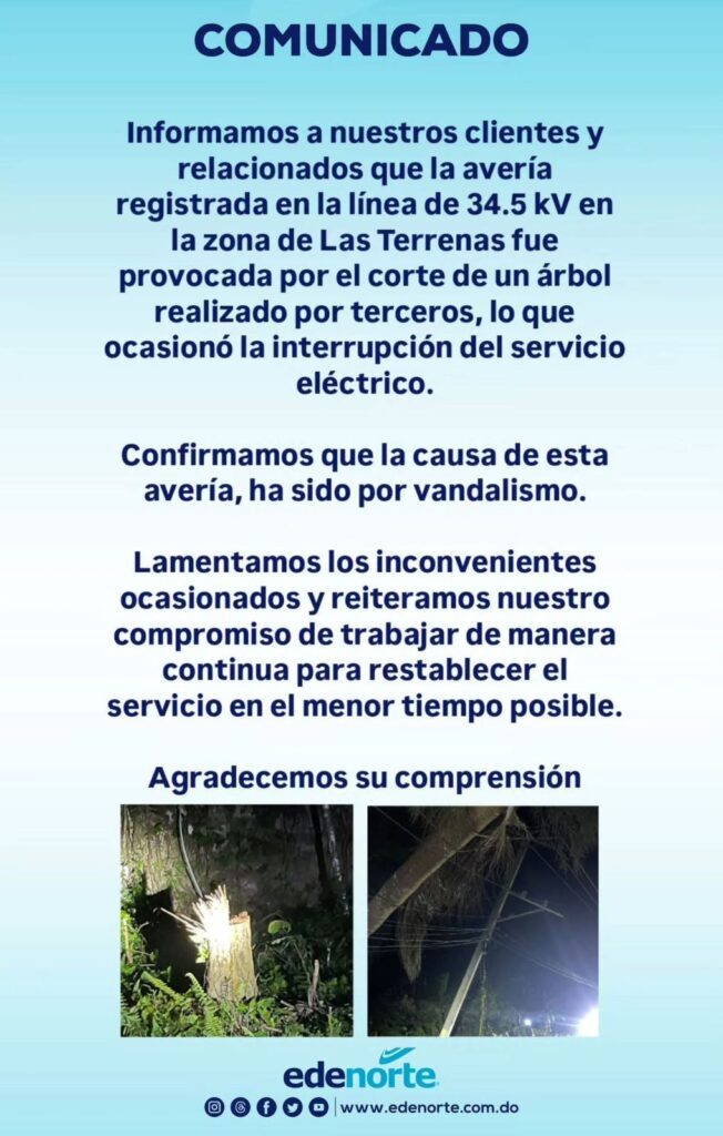 Las Terrenas sin energía eléctrica por caída de palma sobre tendido eléctrico | De Último Minuto