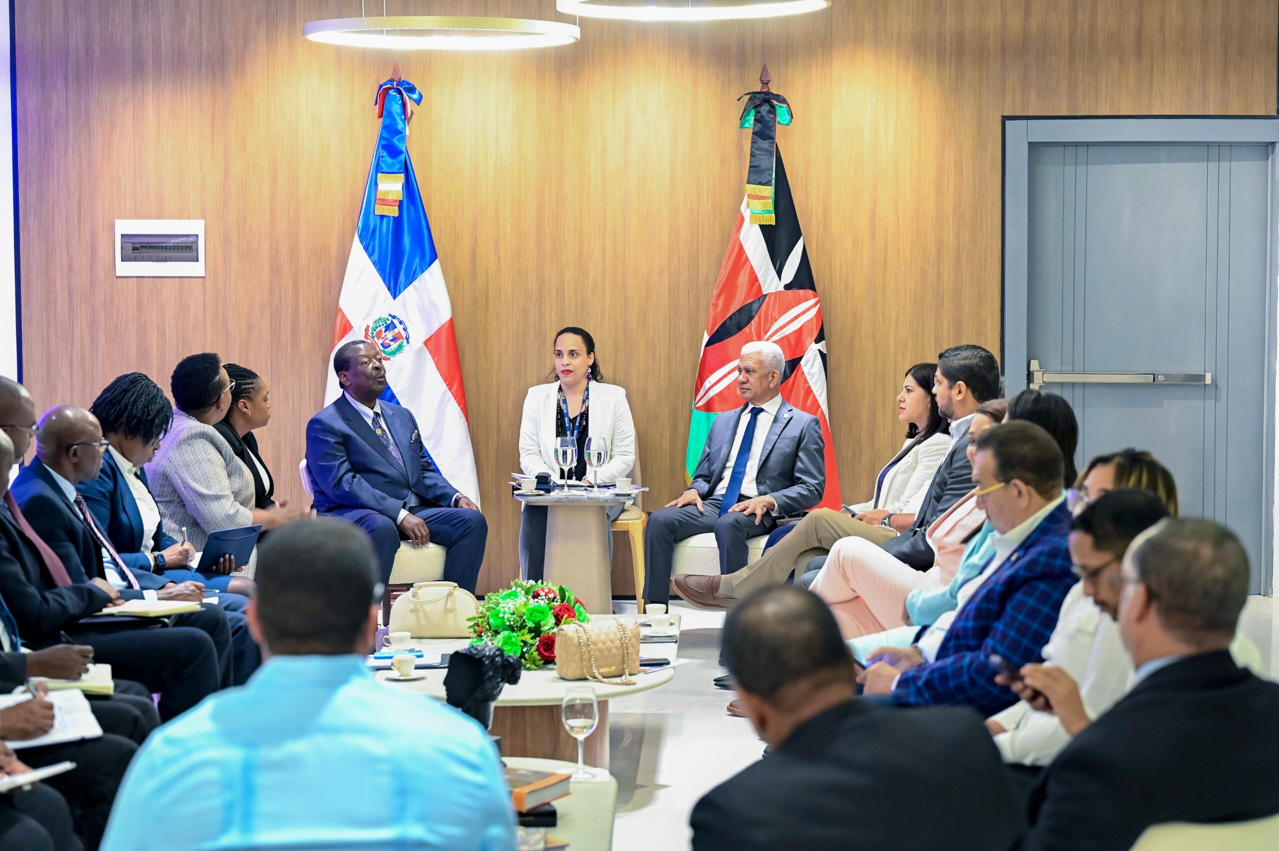 Presidente del Senado expresa preocupación por crisis migratoria haitiana durante encuentro con canciller keniano - Noticias de hoy en República Dominicana | De Último Minuto