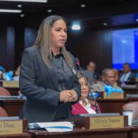 Diputada Dilenia Santos solicita aprobación de resolución para dotar de kits de higiene menstrual a estudiantes de escuelas públicas - Noticias de hoy en República Dominicana | De Último Minuto